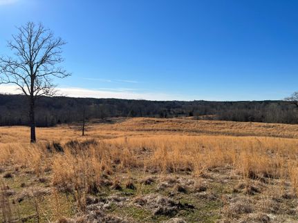 Timberland Property in Holmes County, Mississippi