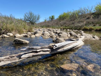 Timberland Property in Crockett County, Texas