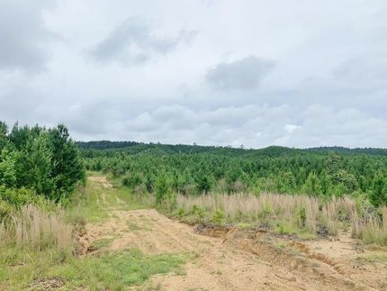 Land in Amite County, Mississippi