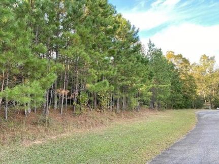 Undeveloped Land in Pike County, Mississippi
