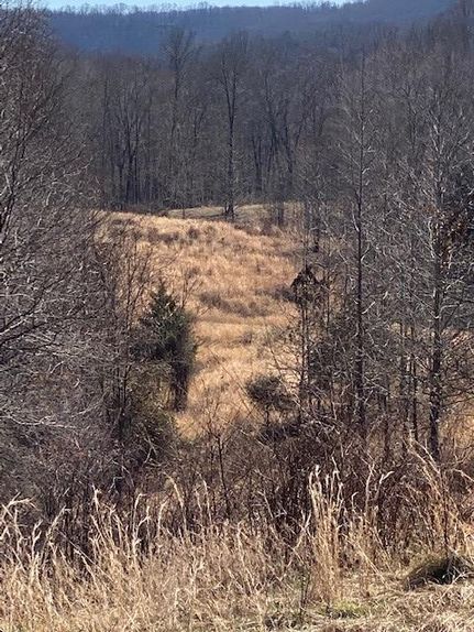 Timberland Property in Pickett County, Tennessee