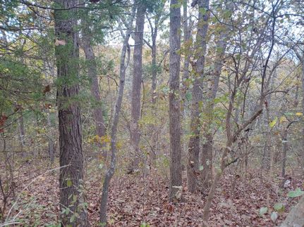 Recreational Property in Polk County, Missouri