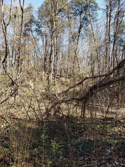 Recreational Property in Grainger County, Tennessee
