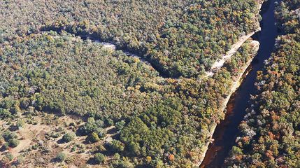 Undeveloped Land in Hamilton County, Florida