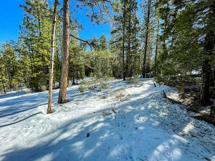 Undeveloped Land in Modoc County, California