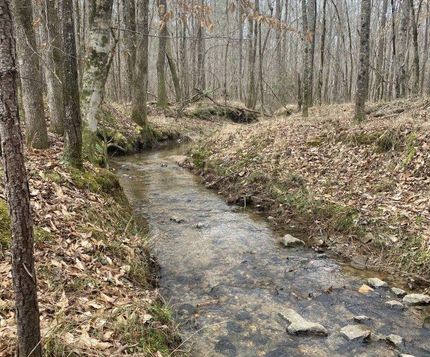 Recreational Property in Tallapoosa County, Alabama