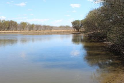 Land in Atascosa County, Texas