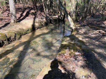 Land in Marion County, Tennessee