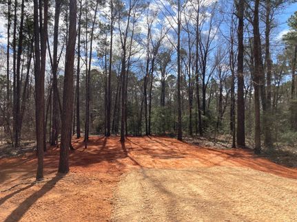 Commercial Property in Polk County, Texas