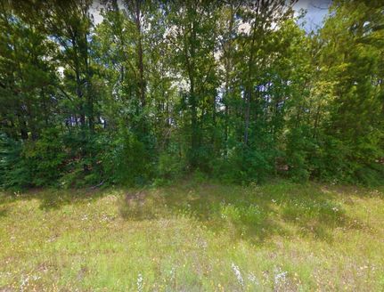 Undeveloped Land in Angelina County, Texas