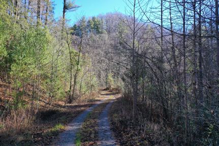 Farm and Ranch in Caldwell County, North Carolina