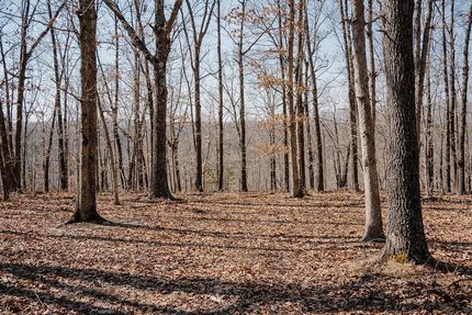 Land in Christian County, Missouri