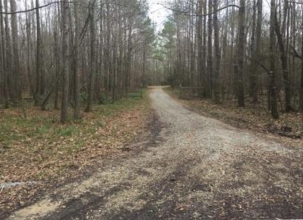 Riverfront Property in Sumter County, Alabama