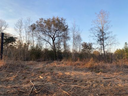 Undeveloped Land in Mobile County, Alabama