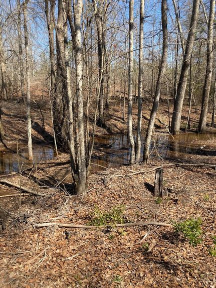 Farm and Ranch in Wilcox County, Georgia