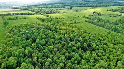 Undeveloped Land in Steuben County, New York