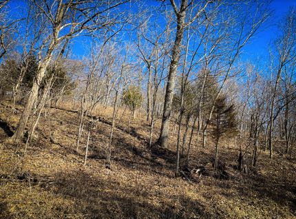 Land in Benton County, Missouri