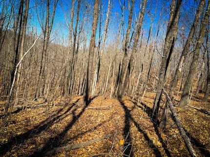 Hunting Property in Benton County, Missouri