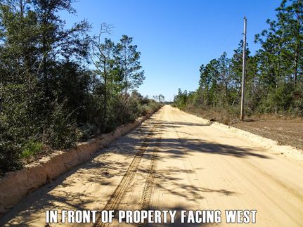 Farm and Ranch in Calhoun County, Florida
