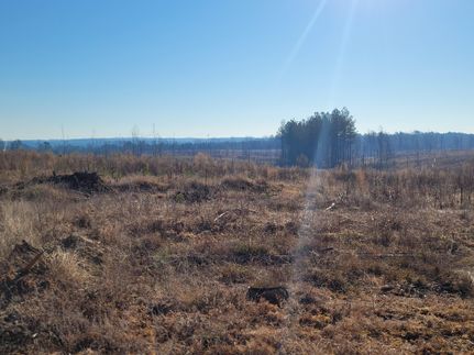 Undeveloped Land in Newton County, Mississippi