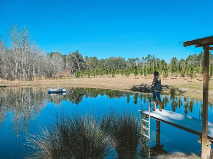 Timberland Property in Madison County, Florida