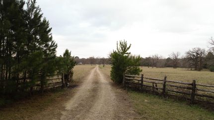 Farm and Ranch in Montgomery County, Texas
