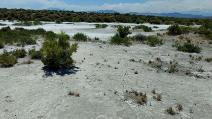 Timberland Property in Box Elder County, Utah