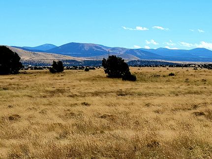 Farm and Ranch in Apache County, Arizona