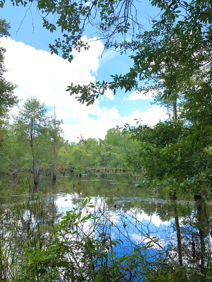 Recreational Property in Laurens County, Georgia