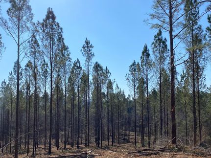 Recreational Property in Blount County, Alabama