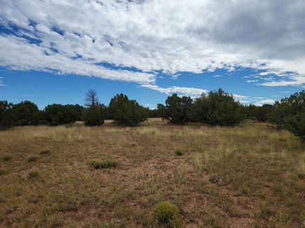 Undeveloped Land in Apache County, Arizona
