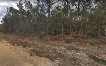 Undeveloped Land in Putnam County, Florida