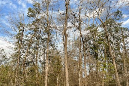 Farm and Ranch in Tyler County, Texas