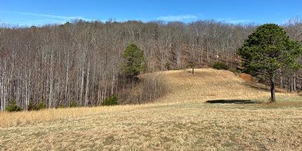 Farm and Ranch in Amherst County, Virginia