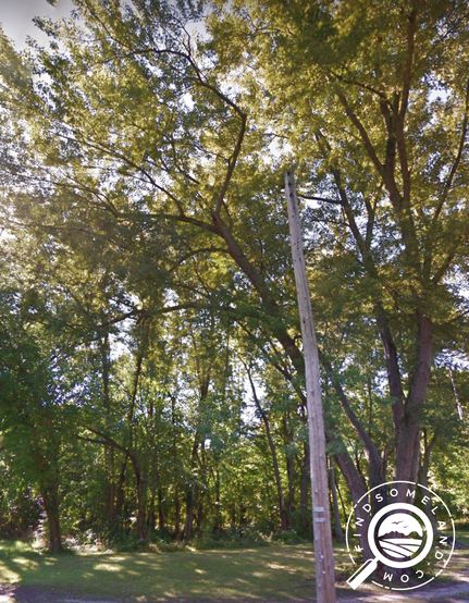 Undeveloped Land in LaPorte County, Indiana