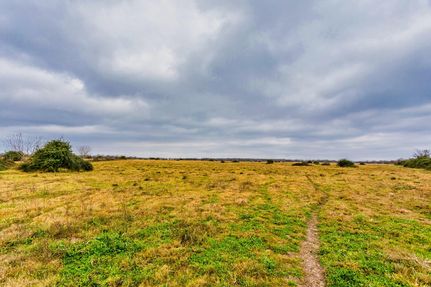 Recreational Property in Colorado County, Texas