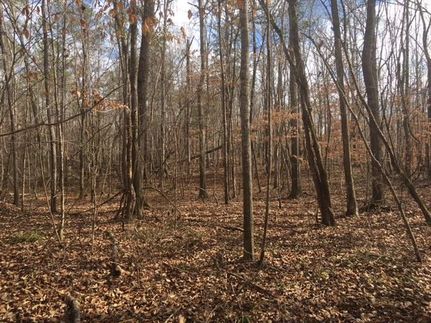 Land in Butler County, Alabama