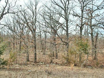 Recreational Property in Atoka County, Oklahoma