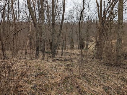 Hunting Property in Lewis County, West Virginia