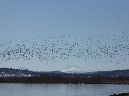 Waterfront Property in Lassen County, California