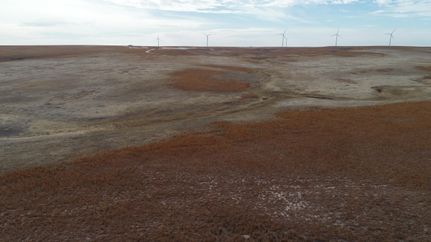 Farm and Ranch in Hemphill County, Texas