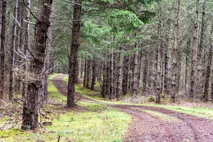 Undeveloped Land in Benton County, Oregon