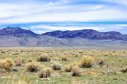 Timberland Property in Costilla County, Colorado