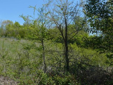 Recreational Property in Grainger County, Tennessee