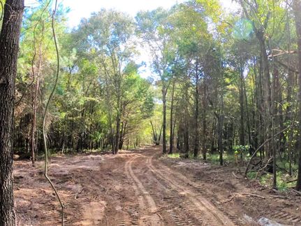 Recreational Property in Smith County, Texas