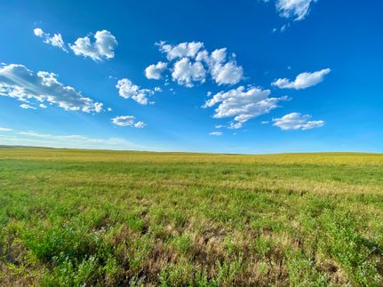 Farm and Ranch in Phillips County, Montana