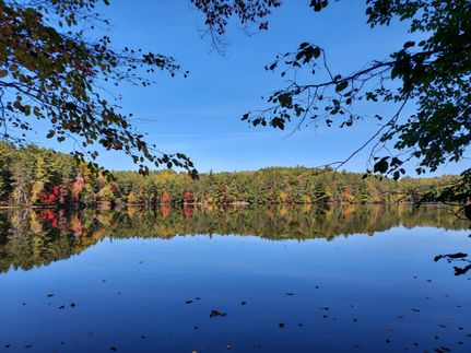 Homesite in Oneida County, Wisconsin