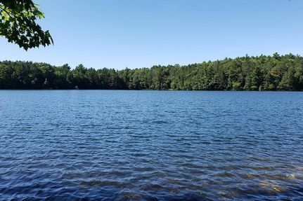 Oceanfront Property in Oneida County, Wisconsin