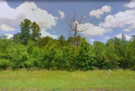 Undeveloped Land in Angelina County, Texas