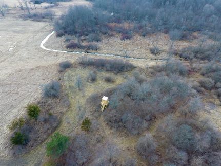 Undeveloped Land in Lapeer County, Michigan